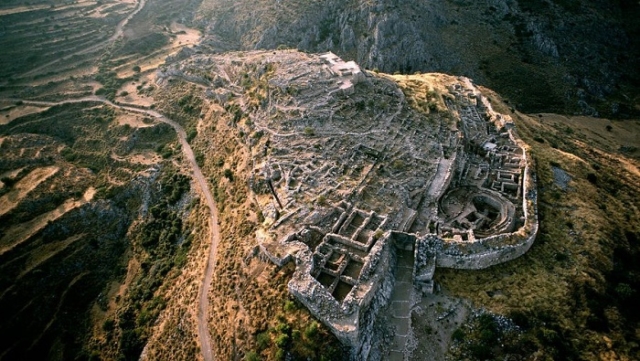 discover mecenae
