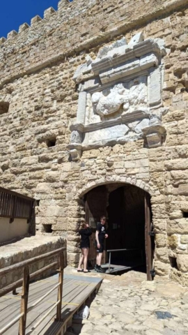 94bb4656-591f-4227-b235-632e04b13e79