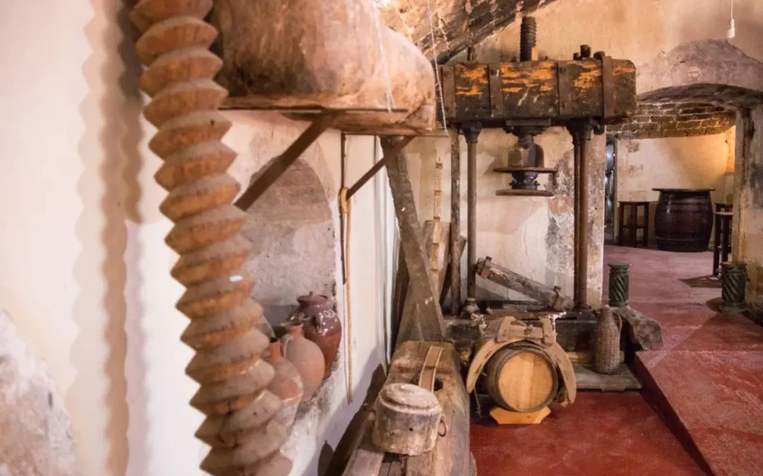 WINE IN ANCIENT GREECE: A JOURNEY THROUGH ANCESTRAL FESTIVALS, WINE PRODUCTION, AND MODERN-DAY WINE TASTING EXPERIENCES